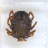  ( - NMNH-2023-034-H04)  @11 [ ] CreativeCommons - Attribution Non-Commercial Share-Alike (2023) Electra Chadd Smithsonian Institution National Museum of Natural History