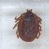  ( - NMNH-2024-002-H01)  @11 [ ] CreativeCommons - Attribution Non-Commercial Share-Alike (2024) Electra Chadd Smithsonian Institution National Museum of Natural History