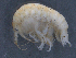  ( - SPCB-PO004)  @11 [ ] CreativeCommons - Attribution (2017) Alex Borisenko Centre for Biodiversity Genomics