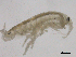  ( - SPCNAS-GTI 0100)  @11 [ ] CreativeCommons - Attribution Non-Commercial (2015) Scientific and Practical Center for Bioresources Scientific and Practical Center for Bioresources
