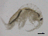  ( - SPCNAS-GTI 0101)  @11 [ ] CreativeCommons - Attribution Non-Commercial (2015) Scientific and Practical Center for Bioresources Scientific and Practical Center for Bioresources