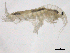  ( - SPCNAS-GTI 0102)  @11 [ ] CreativeCommons - Attribution Non-Commercial (2015) Scientific and Practical Center for Bioresources Scientific and Practical Center for Bioresources
