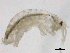  ( - SPCNAS-GTI 0105)  @11 [ ] CreativeCommons - Attribution Non-Commercial (2015) Scientific and Practical Center for Bioresources Scientific and Practical Center for Bioresources