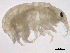  ( - SPCNAS-GTI 0126)  @11 [ ] CreativeCommons - Attribution Non-Commercial (2015) Scientific and Practical Center for Bioresources Scientific and Practical Center for Bioresources