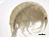  ( - SPCNAS-GTI 0127)  @11 [ ] CreativeCommons - Attribution Non-Commercial (2015) Scientific and Practical Center for Bioresources Scientific and Practical Center for Bioresources