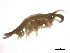  ( - SPCNAS-GTI 0134)  @11 [ ] CreativeCommons - Attribution Non-Commercial (2015) Scientific and Practical Center for Bioresources Scientific and Practical Center for Bioresources