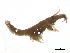  ( - SPCNAS-GTI 0135)  @11 [ ] CreativeCommons - Attribution Non-Commercial (2015) Scientific and Practical Center for Bioresources Scientific and Practical Center for Bioresources