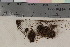  ( - TROM_B_11136)  @11 [ ] CreativeCommons - Attribution Non-Commercial Share-Alike (2017) Unspecified Tromsø University Museum