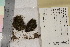  ( - TROM_B_210683)  @11 [ ] CreativeCommons - Attribution Non-Commercial Share-Alike (2017) Unspecified Tromsø University Museum