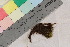  ( - TROM_B_210717)  @11 [ ] CreativeCommons - Attribution Non-Commercial Share-Alike (2017) Unspecified Tromsø University Museum