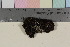  ( - TROM_B_730066)  @11 [ ] CreativeCommons - Attribution Non-Commercial Share-Alike (2017) Unspecified Tromsø University Museum