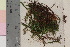  ( - TROM_B_8493)  @11 [ ] CreativeCommons - Attribution Non-Commercial Share-Alike (2017) Unspecified Tromsø University Museum