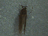  ( - MDFRC_TR0102)  @12 [ ] CreativeCommons - Attribution (2014) Murray-Darling Freshwater Research Centre Murray-Darling Freshwater Research Centre