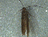 ( - MDFRC_TR0105)  @13 [ ] CreativeCommons - Attribution (2014) Murray-Darling Freshwater Research Centre Murray-Darling Freshwater Research Centre