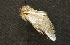 ( - moth222.01)  @13 [ ] CreativeCommons - Attribution (2010) Unspecified Centre for Biodiversity Genomics
