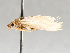  ( - BIOUG66580-E06)  @11 [ ] CreativeCommons - Attribution (2021) CBG Photography Group Centre for Biodiversity Genomics