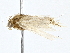  ( - BIOUG77715-D12)  @11 [ ] CreativeCommons - Attribution (2022) CBG Photography Group Centre for Biodiversity Genomics