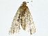  ( - BIOUG77715-E02)  @11 [ ] CreativeCommons - Attribution (2022) CBG Photography Group Centre for Biodiversity Genomics