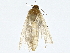  ( - BIOUG77715-F06)  @11 [ ] CreativeCommons - Attribution (2022) CBG Photography Group Centre for Biodiversity Genomics