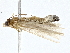  ( - BIOUG77715-G05)  @11 [ ] CreativeCommons - Attribution (2022) CBG Photography Group Centre for Biodiversity Genomics