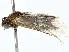  ( - BIOUG80182-C05)  @11 [ ] CreativeCommons - Attribution (2022) CBG Photography Group Centre for Biodiversity Genomics