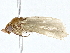  ( - BIOUG80182-D08)  @11 [ ] CreativeCommons - Attribution (2022) CBG Photography Group Centre for Biodiversity Genomics