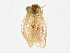  ( - BIOUG80739-F11)  @11 [ ] CreativeCommons - Attribution (2022) CBG Photography Group Centre for Biodiversity Genomics