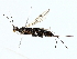  (Plyctes - BIOUG85532-F05)  @11 [ ] CreativeCommons - Attribution (2022) CBG Photography Group Centre for Biodiversity Genomics