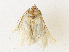  ( - CBG-A34350-E07)  @11 [ ] CreativeCommons - Attribution Share - Alike (2024) CBG Photography Group Centre for Biodiversity Genomics