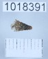  ( - 1018391)  @11 [ ] Levan Mumladze (2023) Levan Mumladze Ilia State University, Institute of Zoology