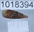  ( - 1018394)  @11 [ ] Levan Mumladze (2023) Levan Mumladze Ilia State University, Institute of Zoology