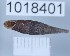  ( - 1018401)  @11 [ ] Levan Mumladze (2023) Levan Mumladze Ilia State University, Institute of Zoology