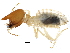  ( - CCDB-08664-H02)  @11 [ ] CreativeCommons - Attribution (2016) CBG Photography Group Centre for Biodiversity Genomics