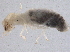  ( - CCDB-13031-E06)  @13 [ ] CreativeCommons - Attribution (2014) CBG Photography Group Centre for Biodiversity Genomics