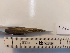  ( - Sample: R2)  @11 [ ] CreativeCommons - Attribution Share-Alike (2021) Unspecified Thomas More University