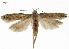  ( - TNAU_MEL_PO16)  @14 [ ] nrr  Unspecified Unspecified