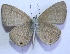  ( - TNAULY201400015)  @12 [ ] CreativeCommons - Attribution Non-Commercial Share-Alike (2014) Kiruthika, P Dept. of Entomology, TNAU