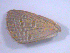  ( - TNAULY201400003)  @11 [ ] CreativeCommons - Attribution Non-Commercial Share-Alike (2014) Kiruthika, P Dept. of Entomology, TNAU