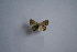  ( - TNAULY201400003)  @11 [ ] CreativeCommons - Attribution Non-Commercial Share-Alike (2014) Kiruthika, P Dept. of Entomology, TNAU