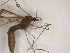  ( - K88568)  @11 [ ] CreativeCommons - Attribution Non-Commercial Share-Alike (2011) Ivor Growns University of New England