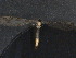  ( - NOW50)  @12 [ ] Unspecified (default): All Rights Reserved  Unspecified Unspecified