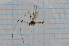  ( - T2894)  @12 [ ] CreativeCommons - Attribution Non-Commercial Share-Alike (2014) Zacariah Billingham Unspecified