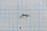  (Zedura - T3856)  @11 [ ] CreativeCommons - Attribution Non-Commercial Share-Alike (2014) Zacariah Billingham Unspecified
