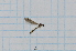  ( - T4827)  @11 [ ] CreativeCommons - Attribution Non-Commercial Share-Alike (2014) Zacariah Billingham Unspecified