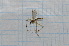  ( - T536)  @12 [ ] CreativeCommons - Attribution Non-Commercial Share-Alike (2014) Zacariah Billingham Unspecified