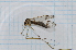  ( - T5638)  @11 [ ] CreativeCommons - Attribution Non-Commercial Share-Alike (2014) Zacariah Billingham Unspecified