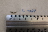  ( - 1069_TOC)  @11 [ ] CreativeCommons Attribution (by) (2023) Unspecified Instituto Nacional de Pesquisas da Amazonia (INPA)