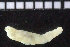  ( - ZMBN_104873)  @12 [ ] CreativeCommons - Attribution Non-Commercial Share-Alike (2015) UoB University of Bergen, Natural History Collections