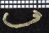  ( - ZMBN_104876)  @11 [ ] CreativeCommons - Attribution Non-Commercial Share-Alike (2015) UoB University of Bergen, Natural History Collections