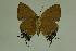  ( - DNAwthTomares 253)  @12 [ ] Copyright (2011) Wolfgang ten Hagen Wolfgang ten Hagen Research Collection